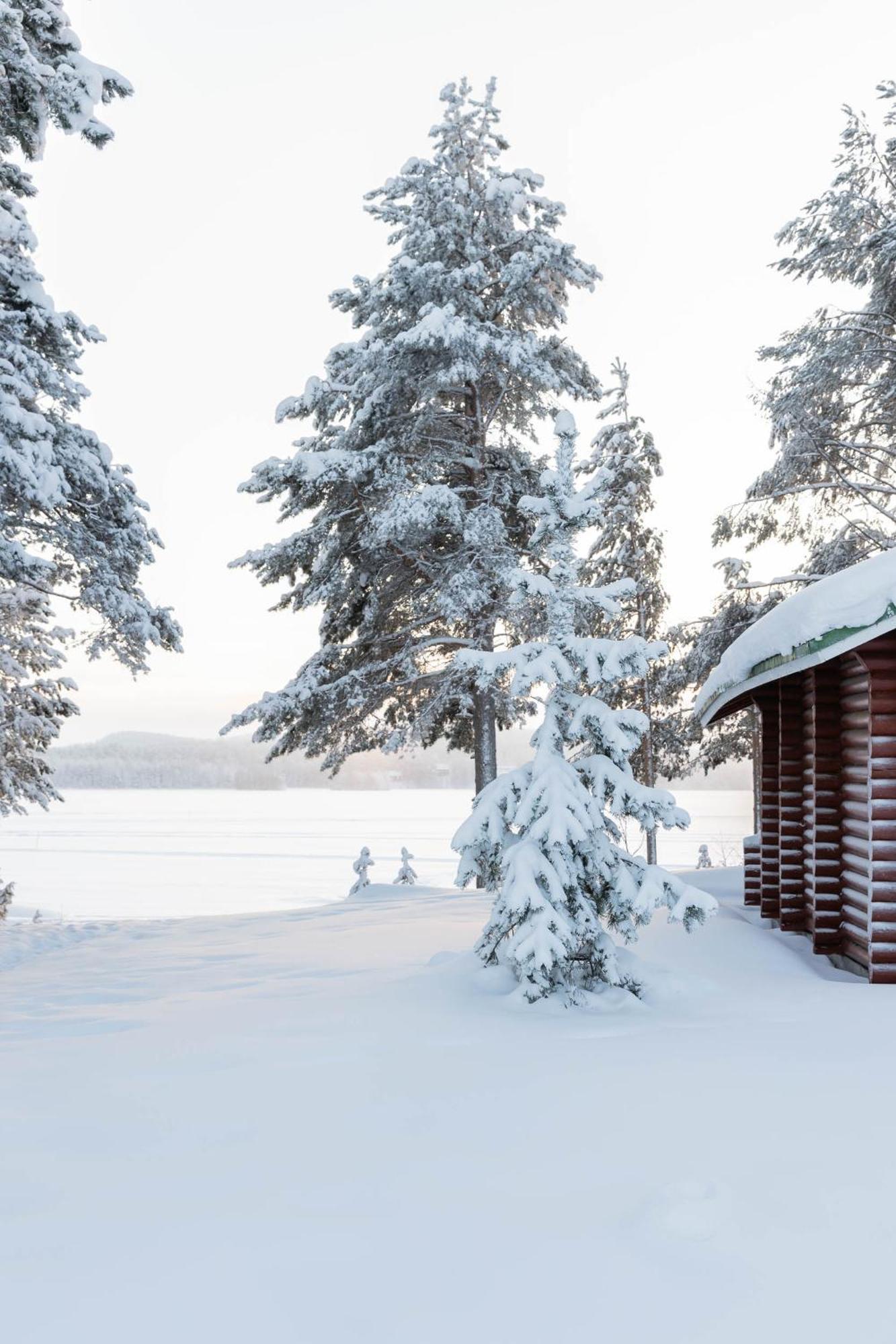 Lapland Arctic Cabins Kemijärvi Exterior foto